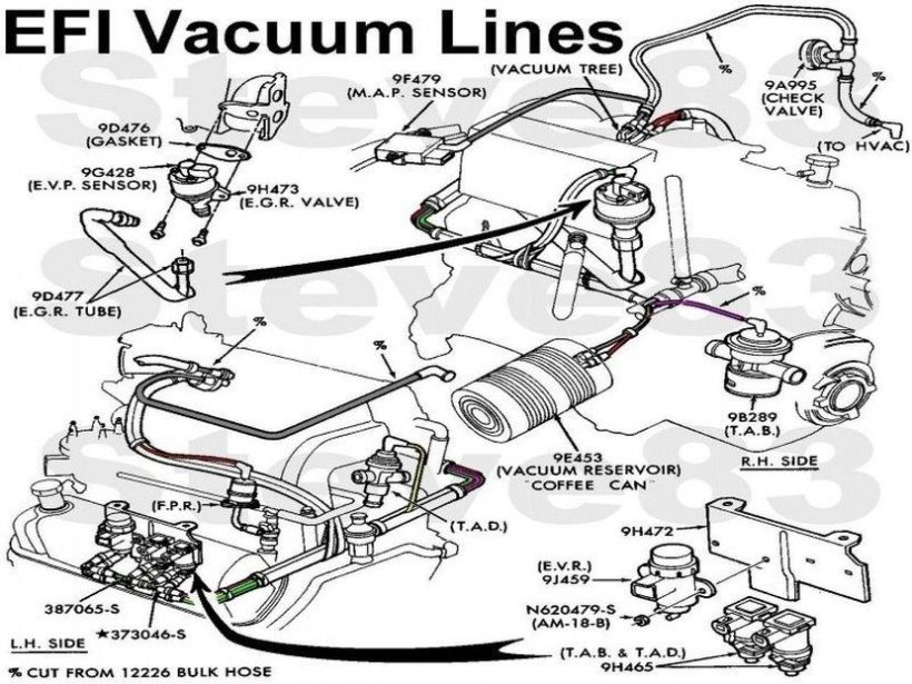 Triton Ford 5.4 Vacuum Hose Diagram
